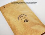 ZIELONE MANGO herbata zielona - obrazek 2