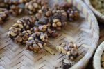KOPI LUWAK kawa Premium - obrazek 5