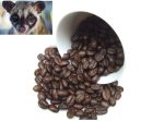 KOPI LUWAK kawa Premium - obrazek 4